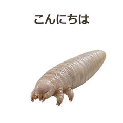 動く!顔ダニのこっそり生活のプレビュー・押すと拡大