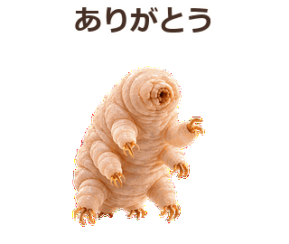 俊敏なくまむしの日常/ありがとうのお辞儀試作のプレビュー・押すと拡大