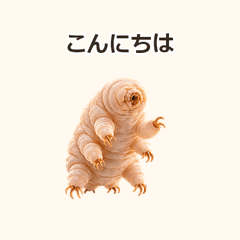 俊敏なくまむしの日常/メイン画像とアイコンの試作のプレビュー・押すと拡大