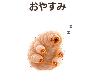 俊敏なくまむしの日常/おやすみの試作のプレビュー・押すと拡大