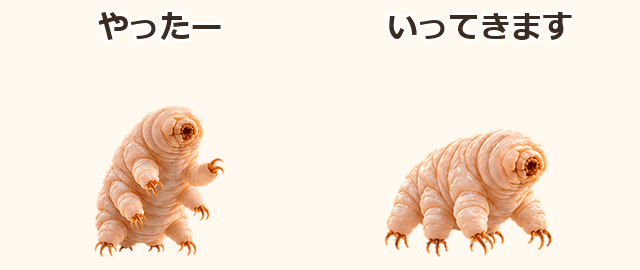 俊敏なくまむしの日常/2動作の透過試作のプレビュー・押すと拡大