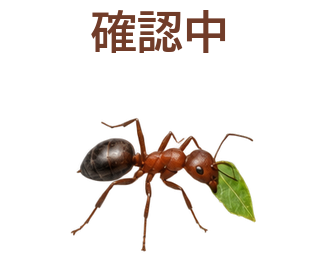 01 文字修正版