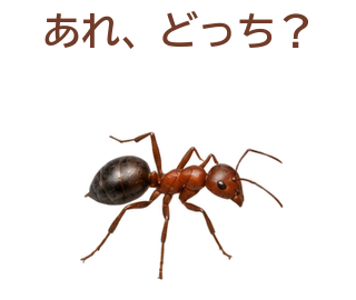 03 文字修正版