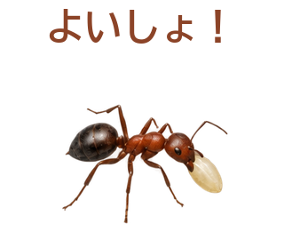 04 文字修正版