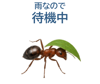 06 文字修正版