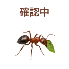 main 文字修正版