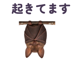 起きてます 提出形式