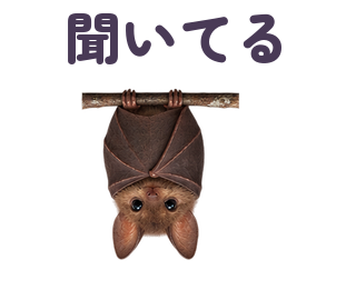聞いてる 提出形式