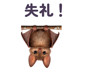 失礼！ 提出形式