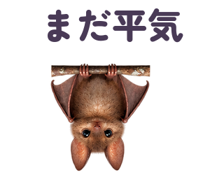 まだ平気 提出形式