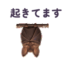 メイン画像 縮小・繰返し