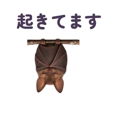メイン画像 提出形式