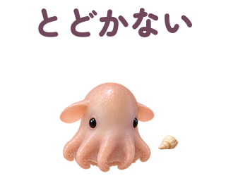 とどかない 提出形式