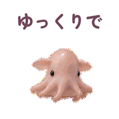 メイン画像 縮小・繰返し