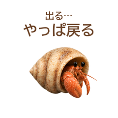 main 文字修正版