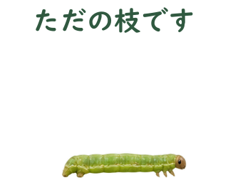 02 文字修正版