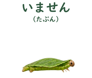05 文字修正版