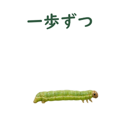 main 文字修正版