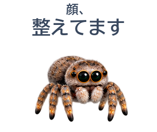05 文字修正版