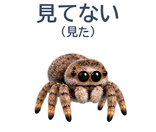 08 文字修正版