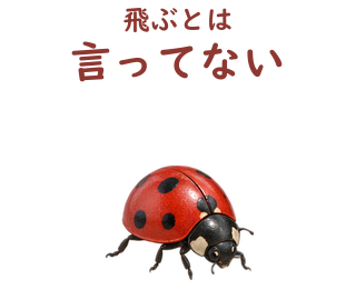 01 文字修正版