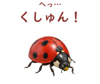 02 文字修正版