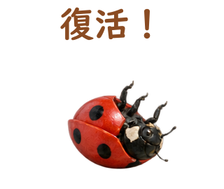 05 文字修正版