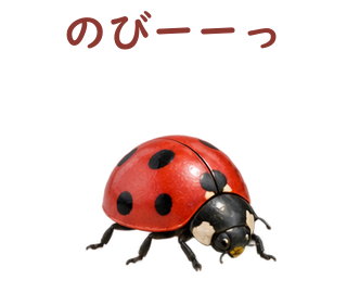 06 文字修正版