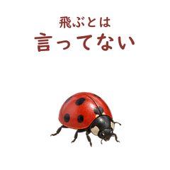 main 文字修正版