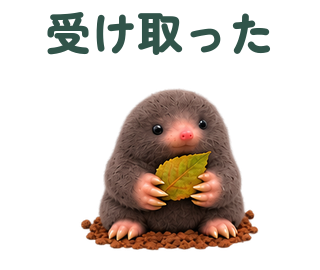 受け取った 提出形式
