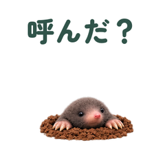 メイン画像 提出形式