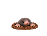 タブ画像