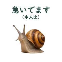 main 文字修正版