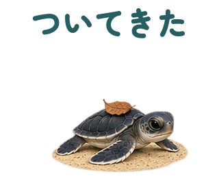 ついてきた 提出形式