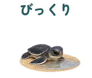 びっくり 提出形式
