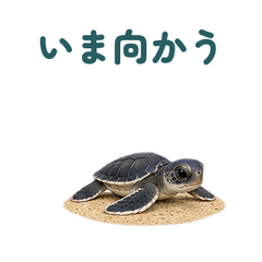 メイン画像 提出形式