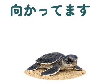 APNG1回再生