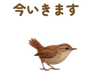 今いきます 提出形式