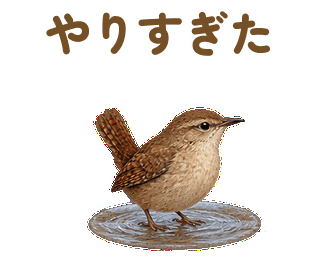 やりすぎた 縮小・繰返し