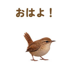 メイン画像 提出形式