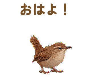 自分の声に驚く 大きい丸ゴシック 繰返し見本