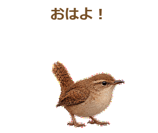 自分の声に驚く 旧文字の比較用 繰返し見本